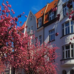 kreuzviertel_1600-standard.jpg