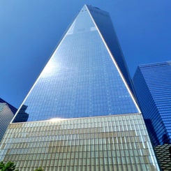 p1100481-c-standard.jpg
