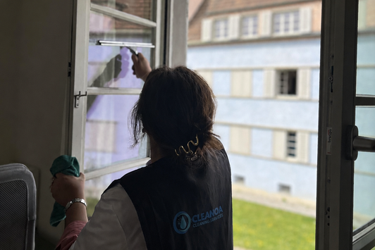 Fensterreinigung