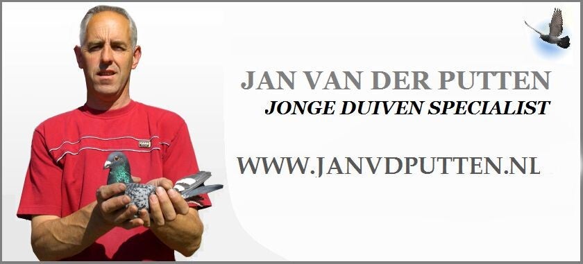 Jan van der Putten jonge duivenspecialist