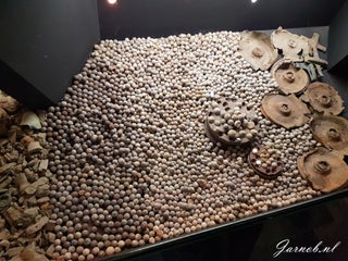 20190412_102352-2016x1512-standard.jpg
