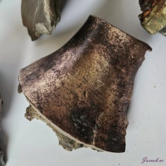 20241116_111517-standard.jpg