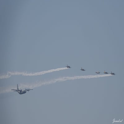 dsc00009-standard.jpg