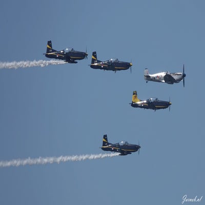dsc00028-standard.jpg