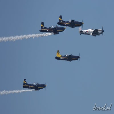 dsc00033-standard.jpg