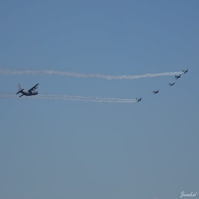 dsc00045-standard.jpg