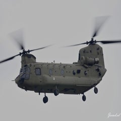 dsc00610-standard.jpg