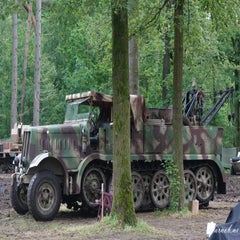 dsc03184-standard.jpg