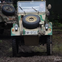 dsc03212-standard.jpg