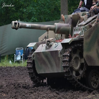 dsc03243-standard.jpg