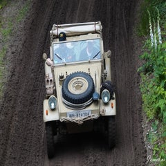 dsc03506-standard.jpg