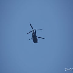 dsc06650-standard.jpg