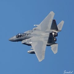 dsc07370-standard-l3fjlz.jpg