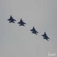 dsc08565b-standard.jpg