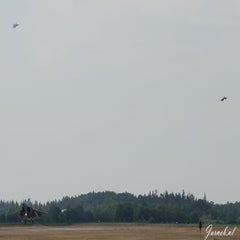 dsc08615b-standard.jpg