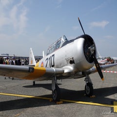 n4109ch210texant6jpg.jpg