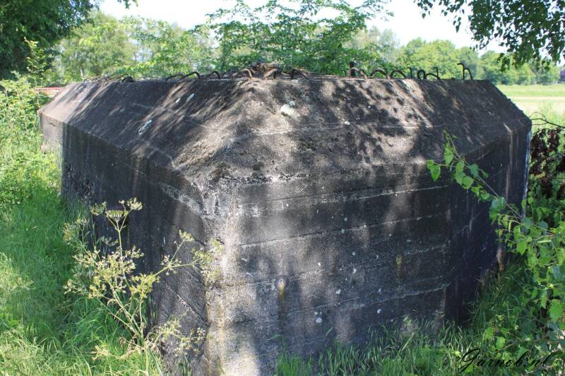 s43-1728x1152-standard.jpg