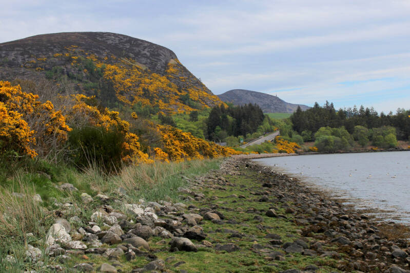 Scotland's Finest: Loch Fleet