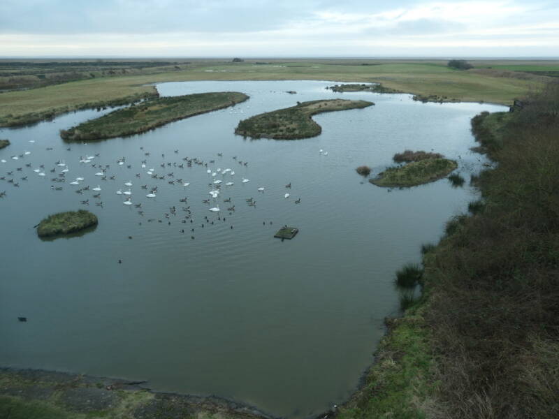 Scotland's Finest: Caerlaverock Nature Reserve