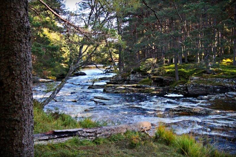 Scotland's Finest: The Linn ofDee