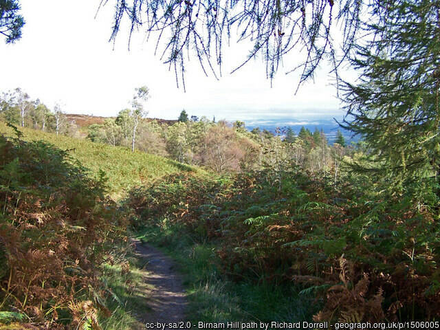 Scotland's Finest: Birnam Hill