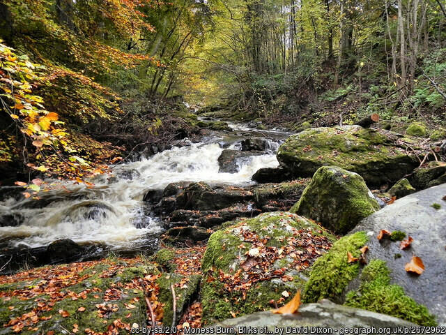 Scotland's Finest: Birks of Aberfeldy