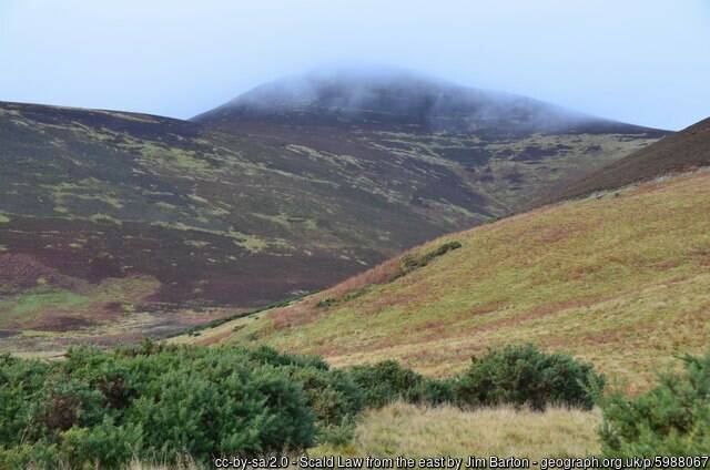 Scotland's Finest: Scald Law
