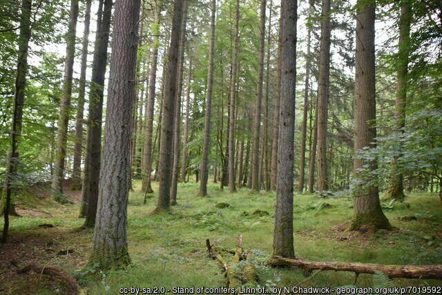 Scotland's Finest: Near Loch Tummel