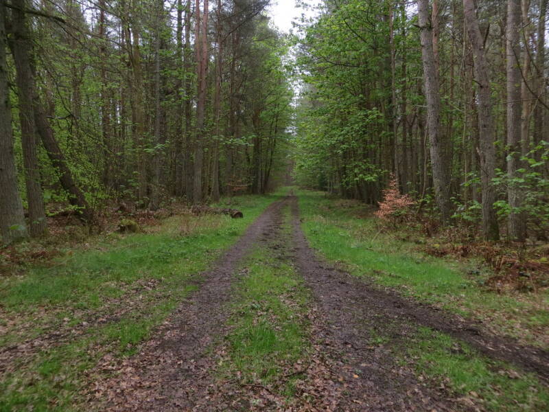 Scotland's Finest: Tentsmuir NNR