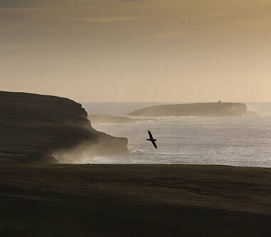 Scotland's Finest: St Magnus Way