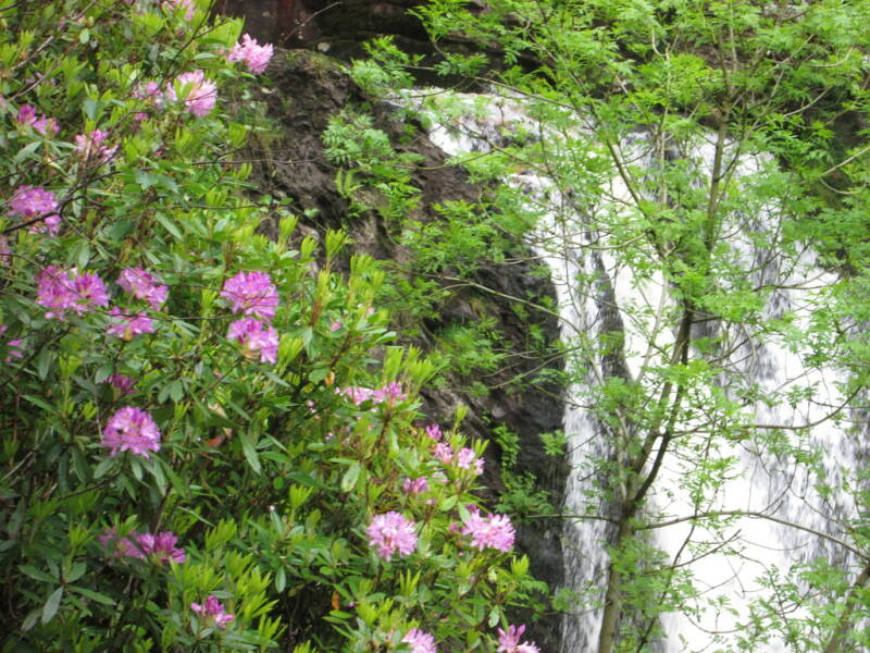Scotland's Finest: Inversnaid Waterfall
