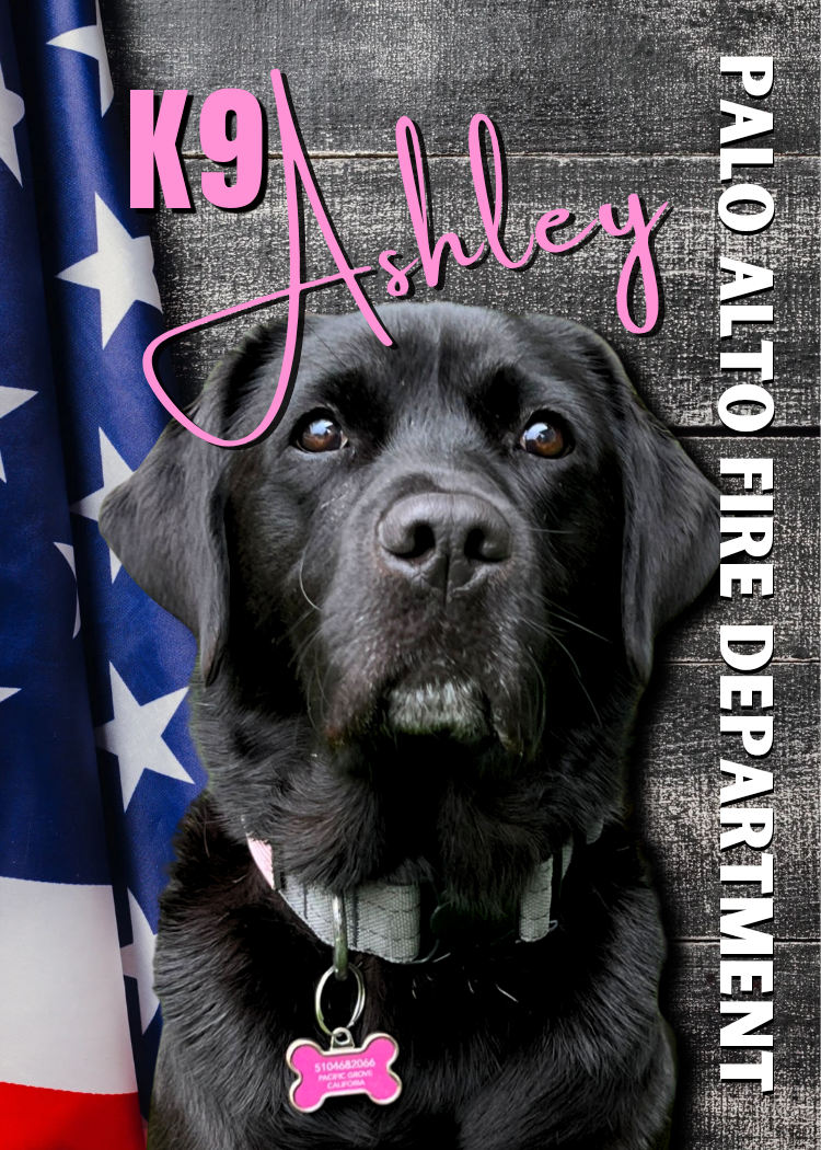 2025-ashley-k9-trading-cards_20260622_133201_0000-standard.png