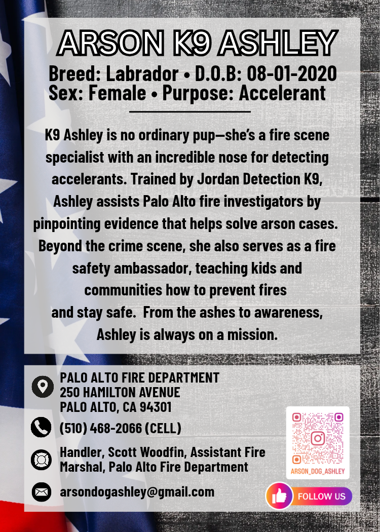 2025-ashley-k9-trading-cards_20260622_133201_0001-standard.png