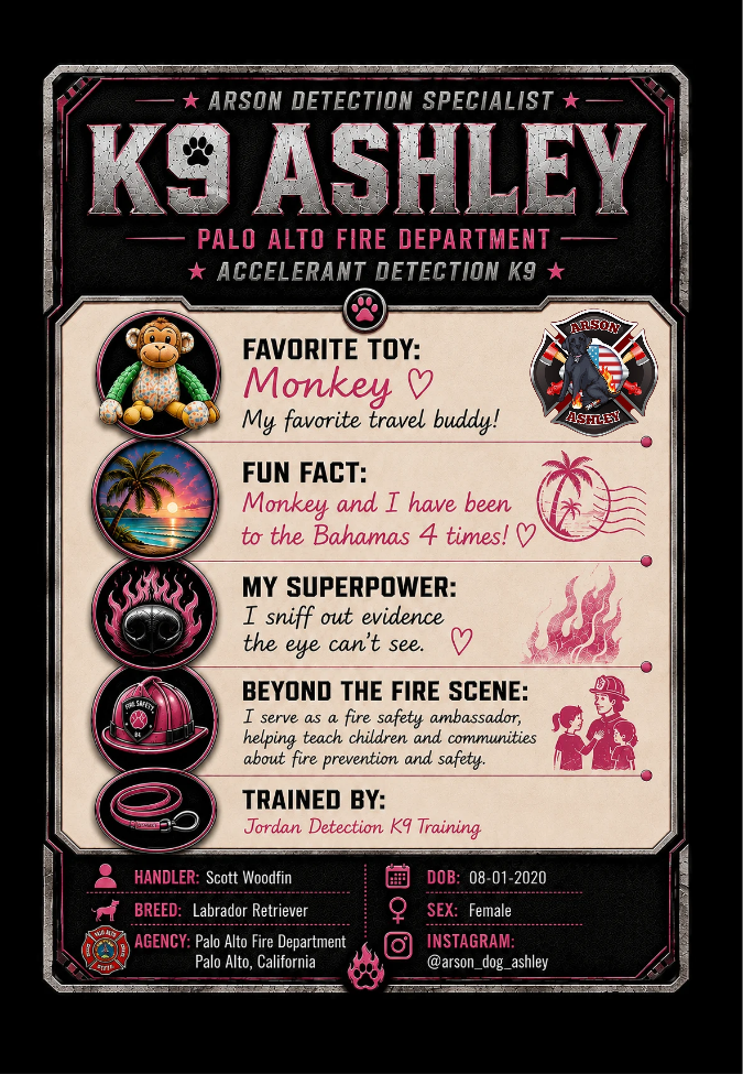 2026-ashley-card_20260829_170326_0000-standard.png