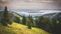Oasen der Freiheit Chiemgau e.V.