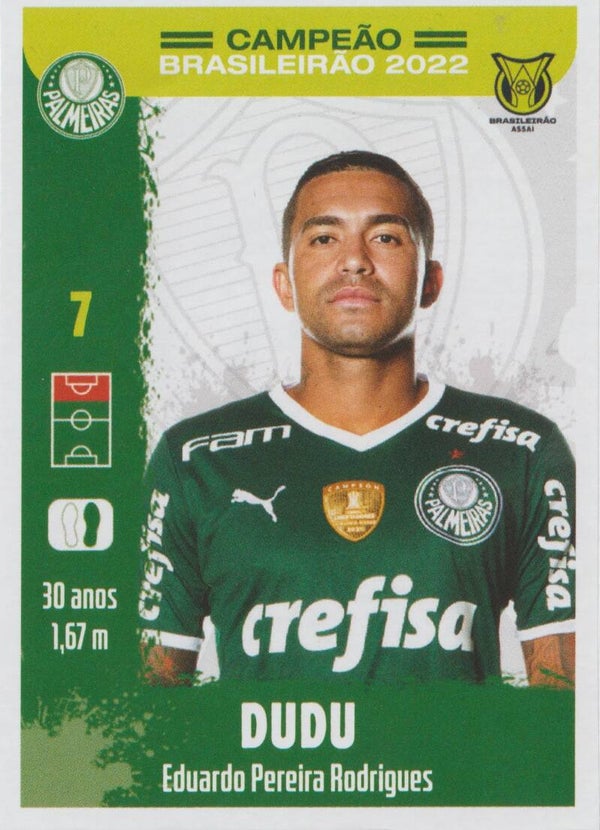 #21: Dudu - Panini Palmeiras Campeão Brasileirão 2022