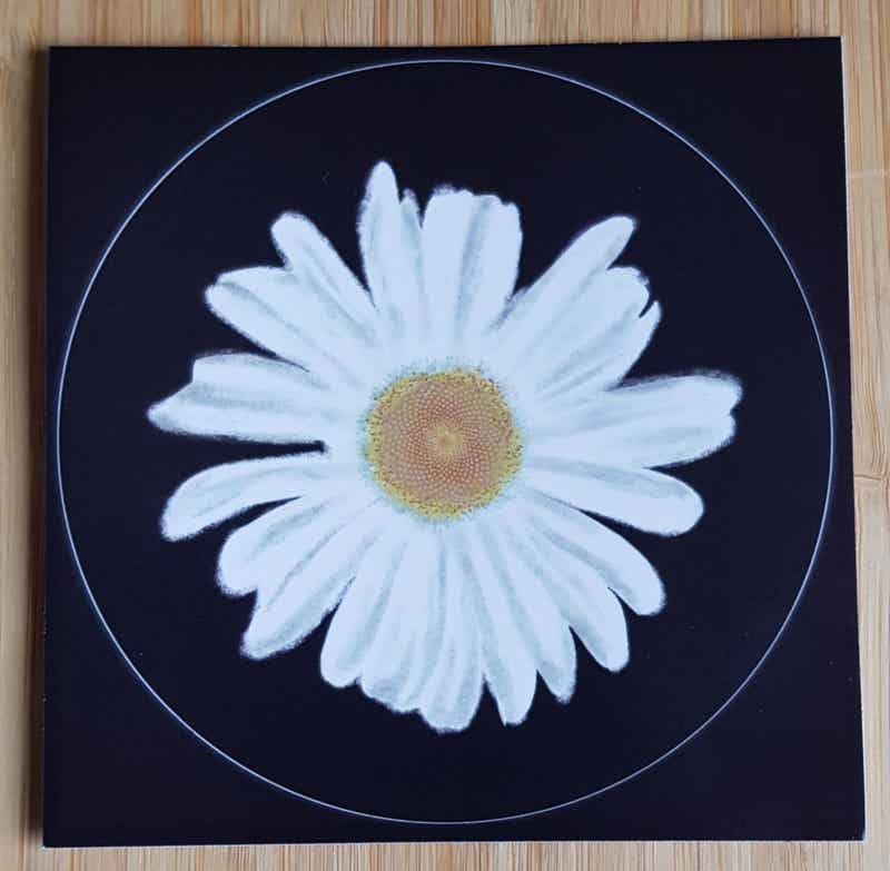 FT0080S Sticker FancyType Daisy Rond