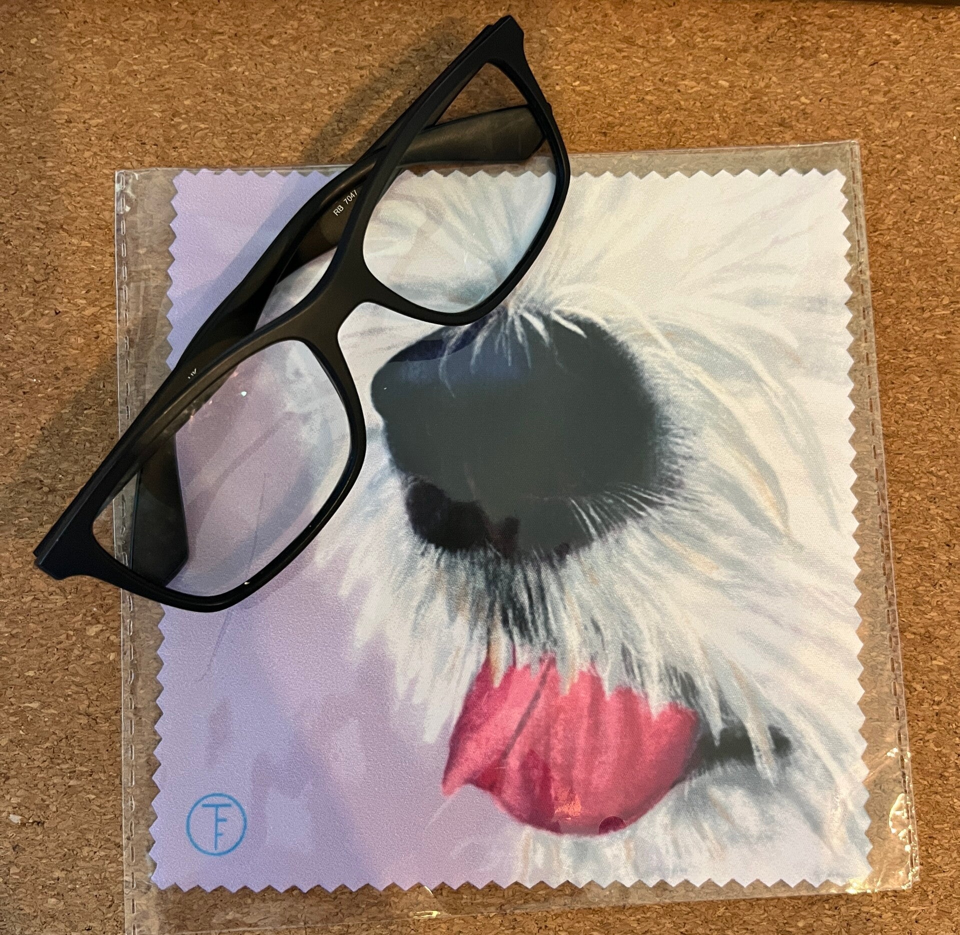 FT00255 - Brillendoekje - OESThe Nose