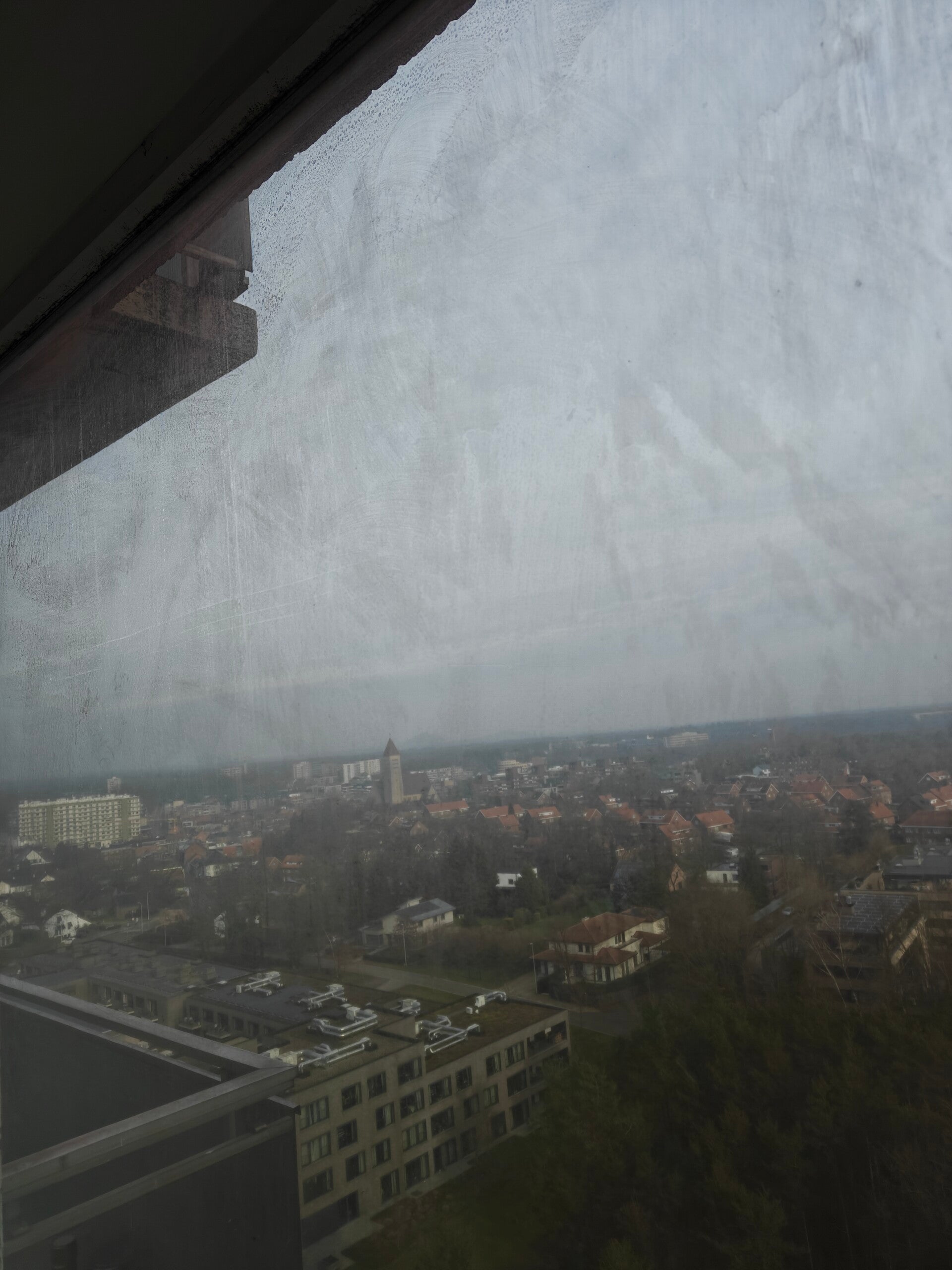 img20260125125547-standard.jpg