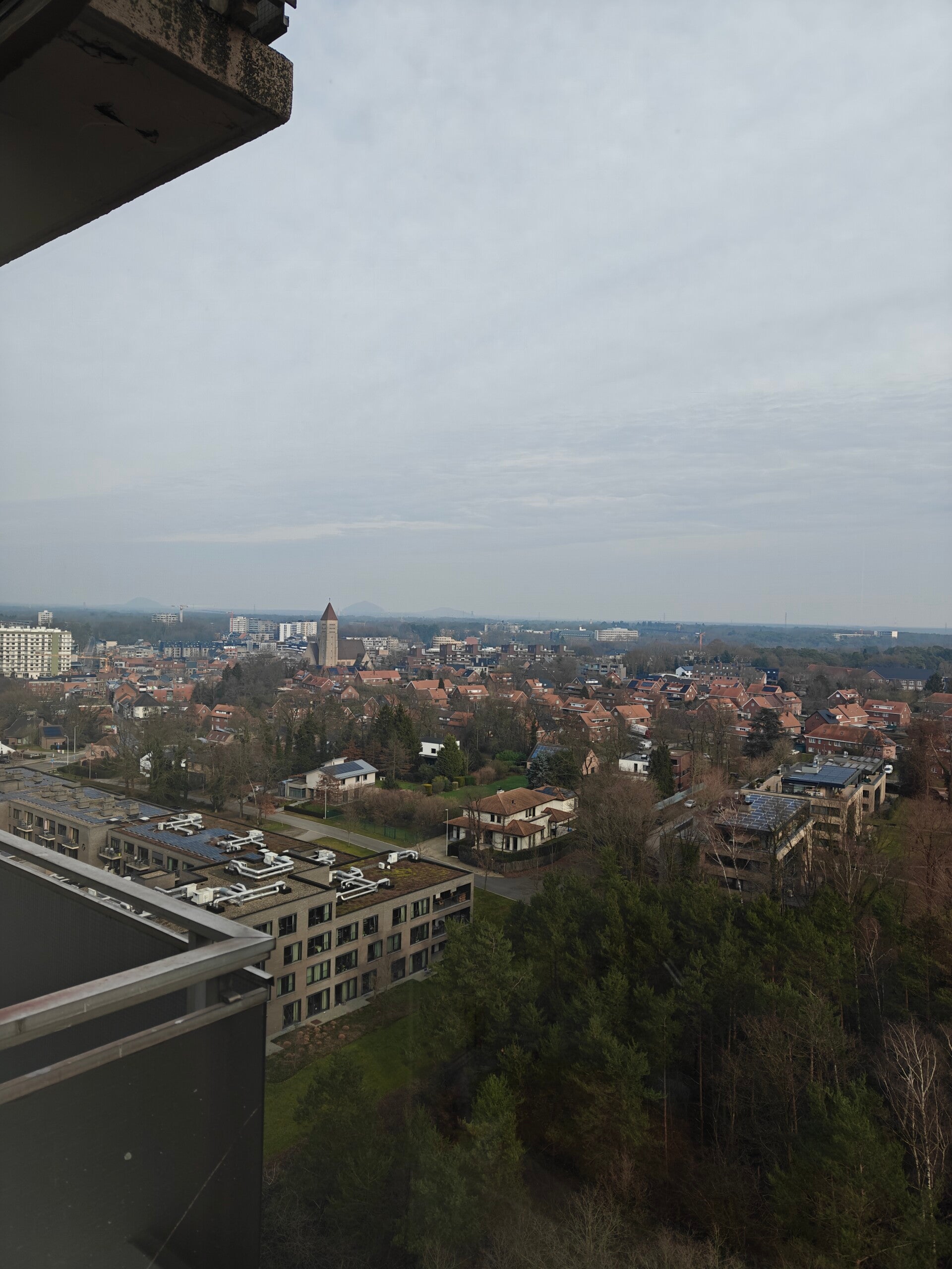img20260125131326-standard-7qxekw.jpg