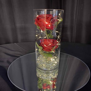 3d646dd2-a2d2-4f20-878e-1af8c2fc08ca-standard.jpg