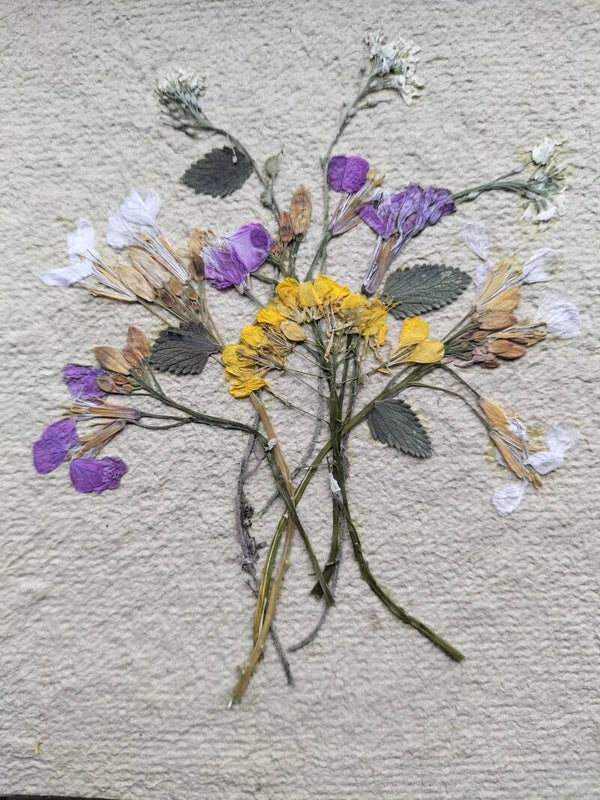 Ansichtkaart met wilde bloemen 8