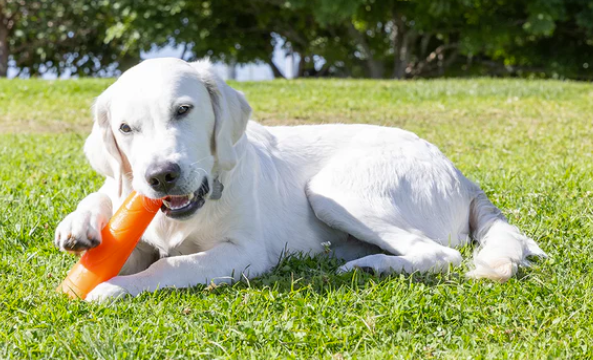 SUPER CRUNCH STICK, chuck-it