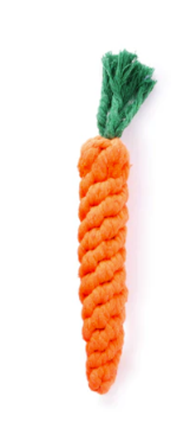 JEU CORDE CAROTTE
