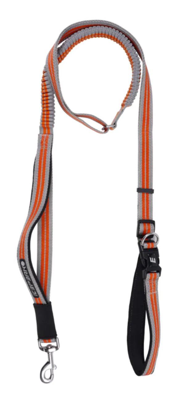 Icepeak Pet Trail / laisse pour la course - dernière pièce !