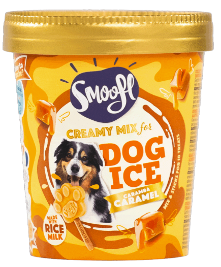 GLACE AU CARAMEL CREMEUX