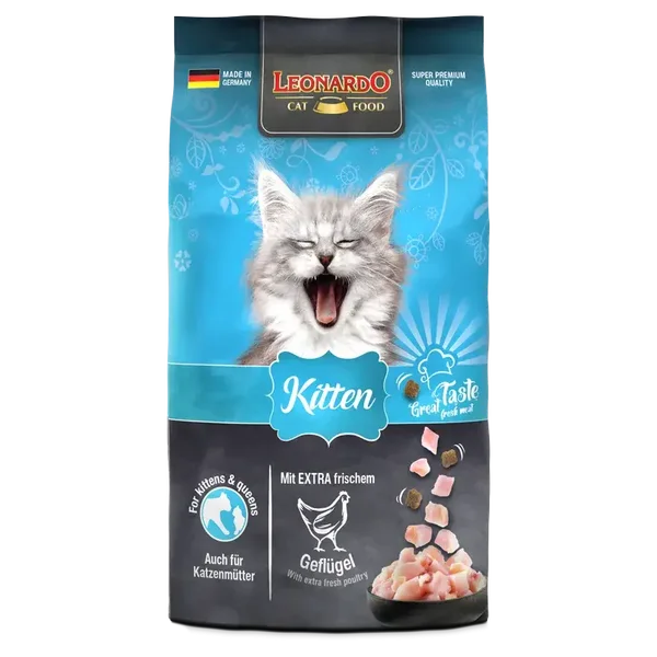 LEONARDO KITTEN