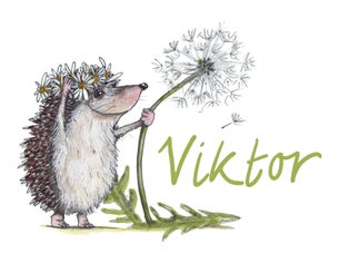 victor.jpg