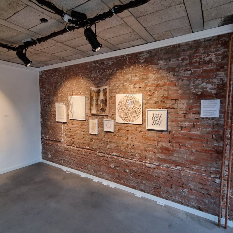 works by Maike Denker