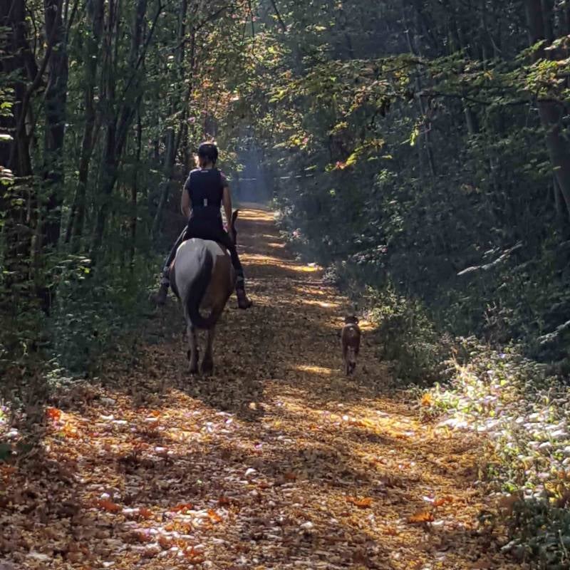 Drie muses: mijn dochter, Moeder Natuur en onze gezelschapsdieren